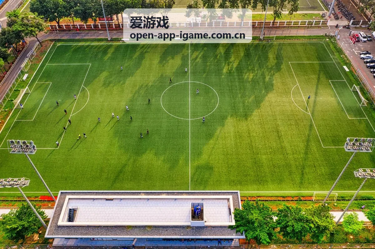 爱游戏资讯：合作伙伴峰会